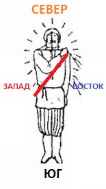 Малая перуница рисунок